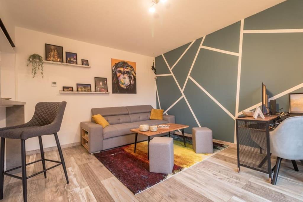 Appartement Le Saver'Zaru, Centre Ville, T2 55M² Saverne Exterior foto